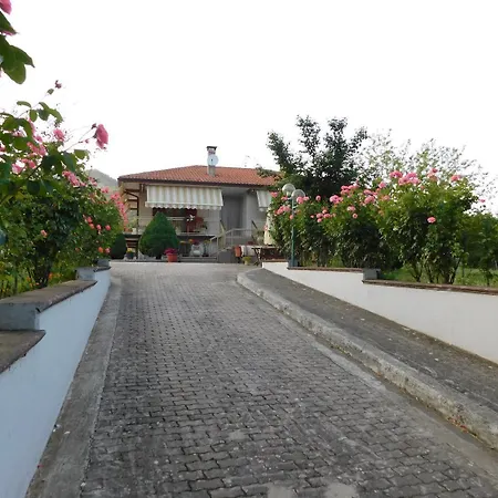 Lo Campo Montella